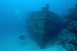 Hermes Wreck, Bermuca.  Nikon d70, 12-24 mm lens, no strobe. by David Heidemann 
